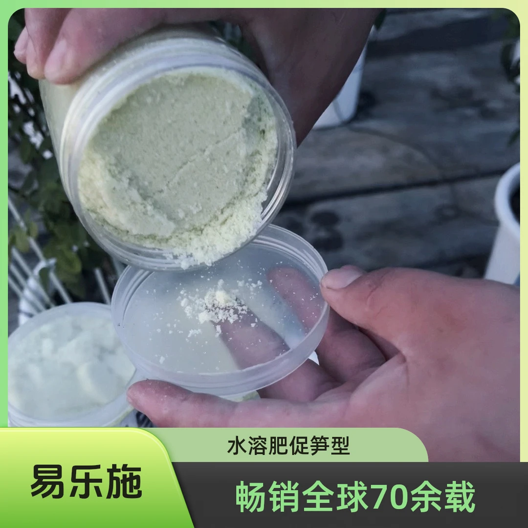 【宇爸的花园】苗圃自用正品花多多1号促笋型月季切花水溶肥通用型