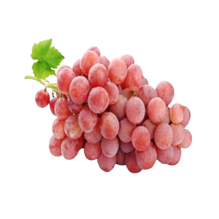 《精品》浙江红提1000g