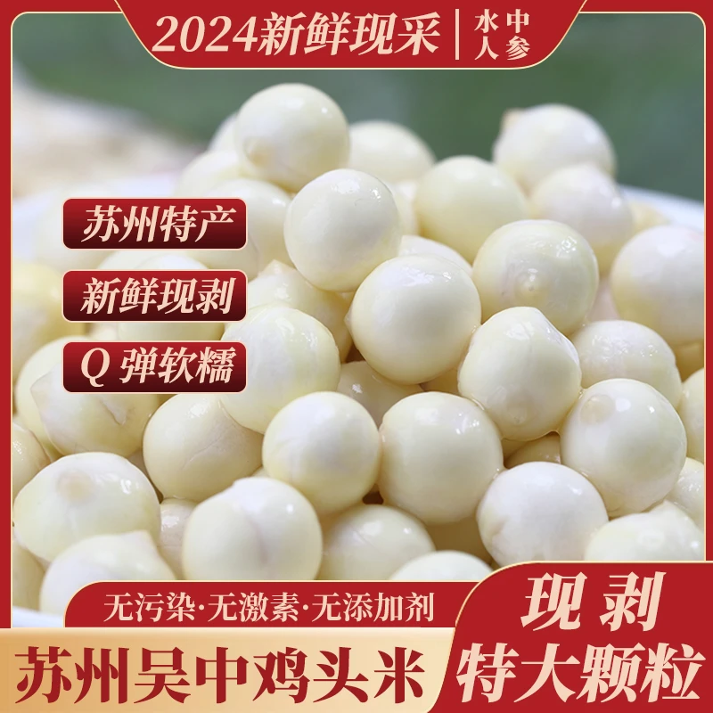 苏芡超大颗粒鸡头米2024苏州正宗吴中芡实产地直发芡苏坊新鲜苏芡