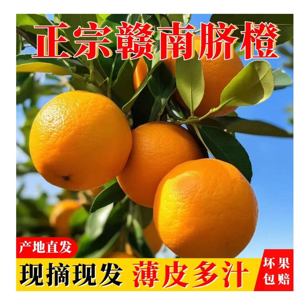 【鱼哥臻选】赣南脐橙10斤多汁香甜脆爽果园发货