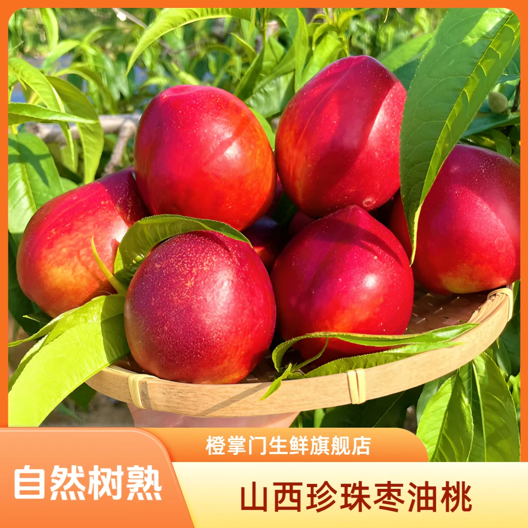 露天头茬【珍珠枣油桃】黄肉油桃,新鲜采摘脆甜多汁带箱5斤