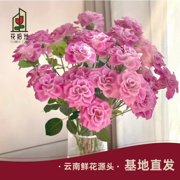 【国风超长待机】【5度以下拍保温棉】桃之灼多头玫瑰