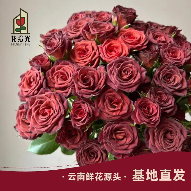 【基地直发】【5度以下拍保温棉】巧克力糖多头玫瑰 一捧浓郁的秋色