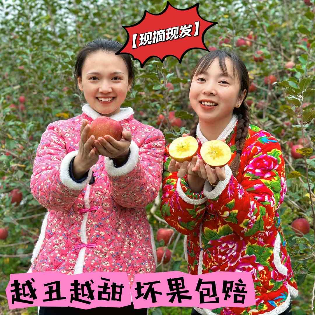 高山老树丑苹果 每天现摘现发 脆甜多汁【包邮到家】