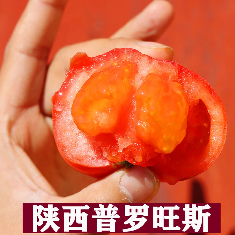 陕西泾阳正宗普罗旺斯沙瓤西红柿酸甜可口5斤装包邮（坏果包赔）