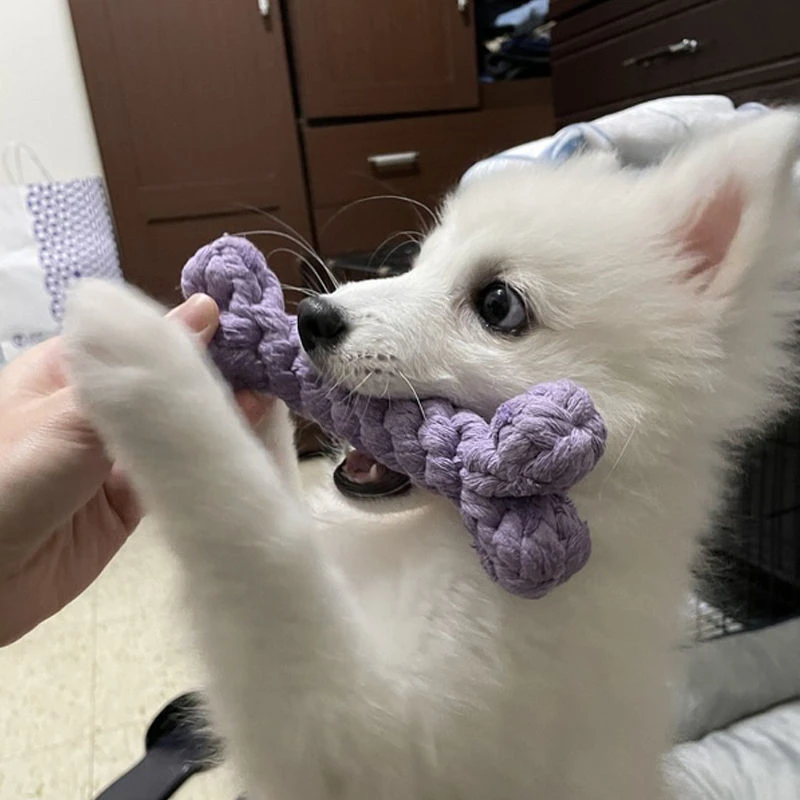 狗狗绳结磨牙耐咬泰迪比熊博美绳结玩具奶狗小型犬玩具球宠物用品