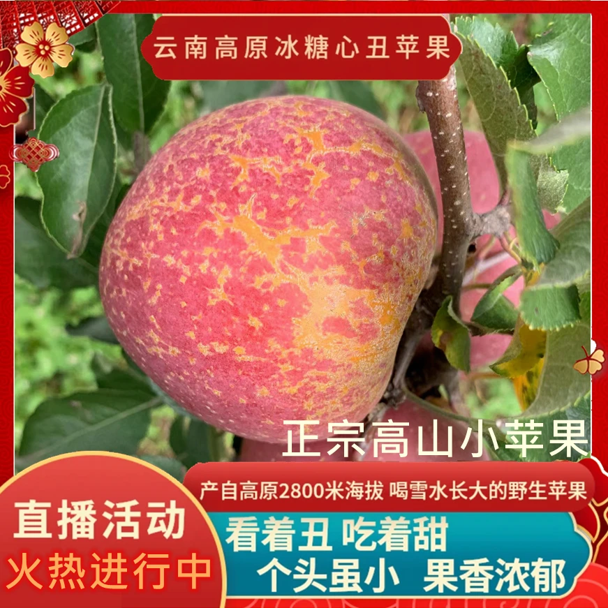 正宗云南高原冰糖心丑苹果原产地新鲜现采脆甜多汁小苹果2斤5斤