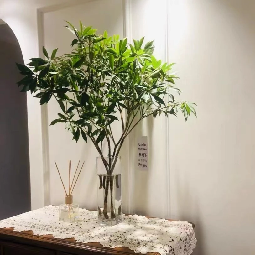 国产马醉木水培植物室内植物春天鲜切枝盆栽吊钟客厅水养网红绿植