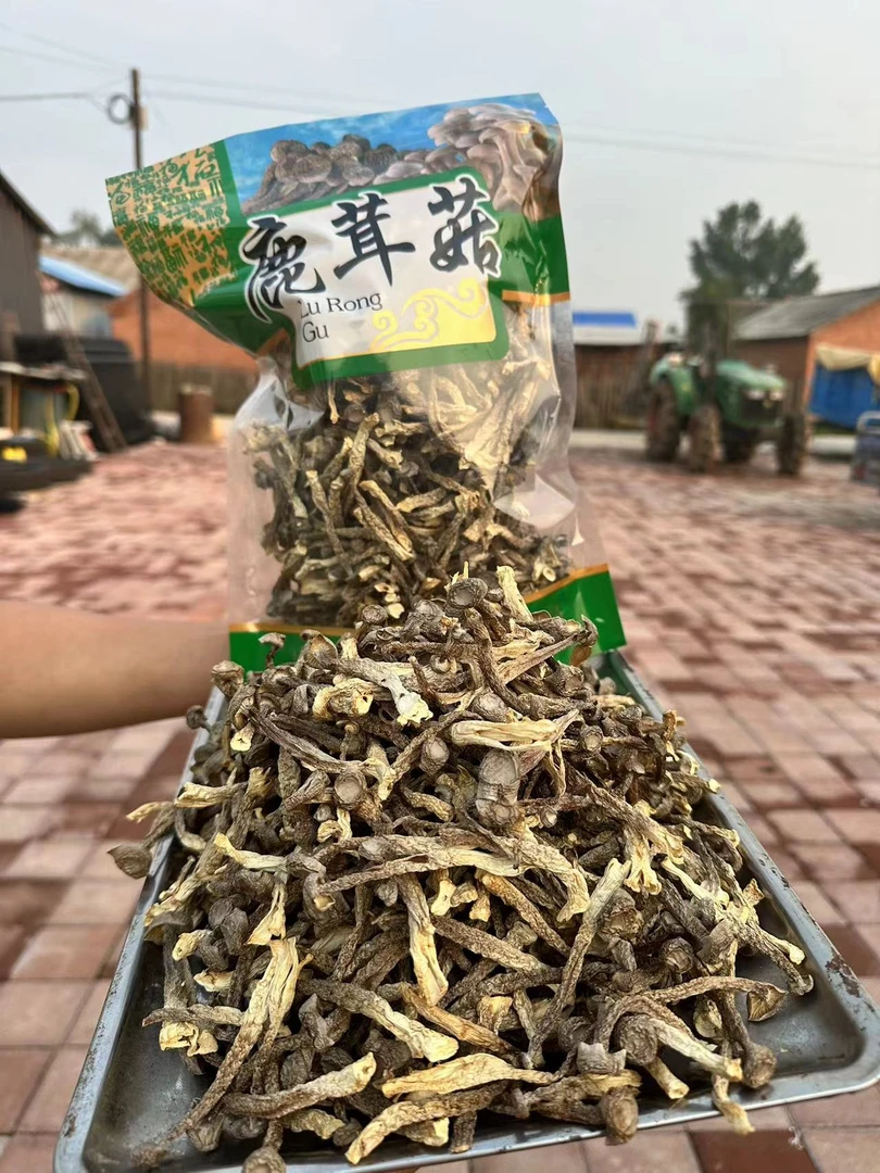 一宁-鹿茸菇半斤装