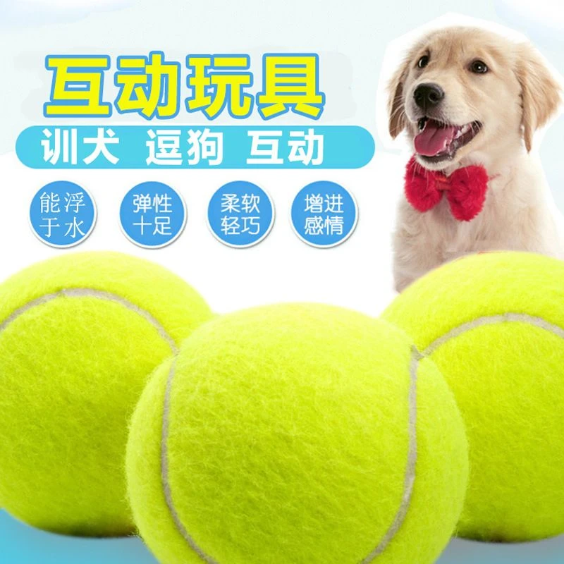 狗狗玩具球耐咬小狗狗户外大型犬马犬金毛磨牙弹力球宠物狗训练球