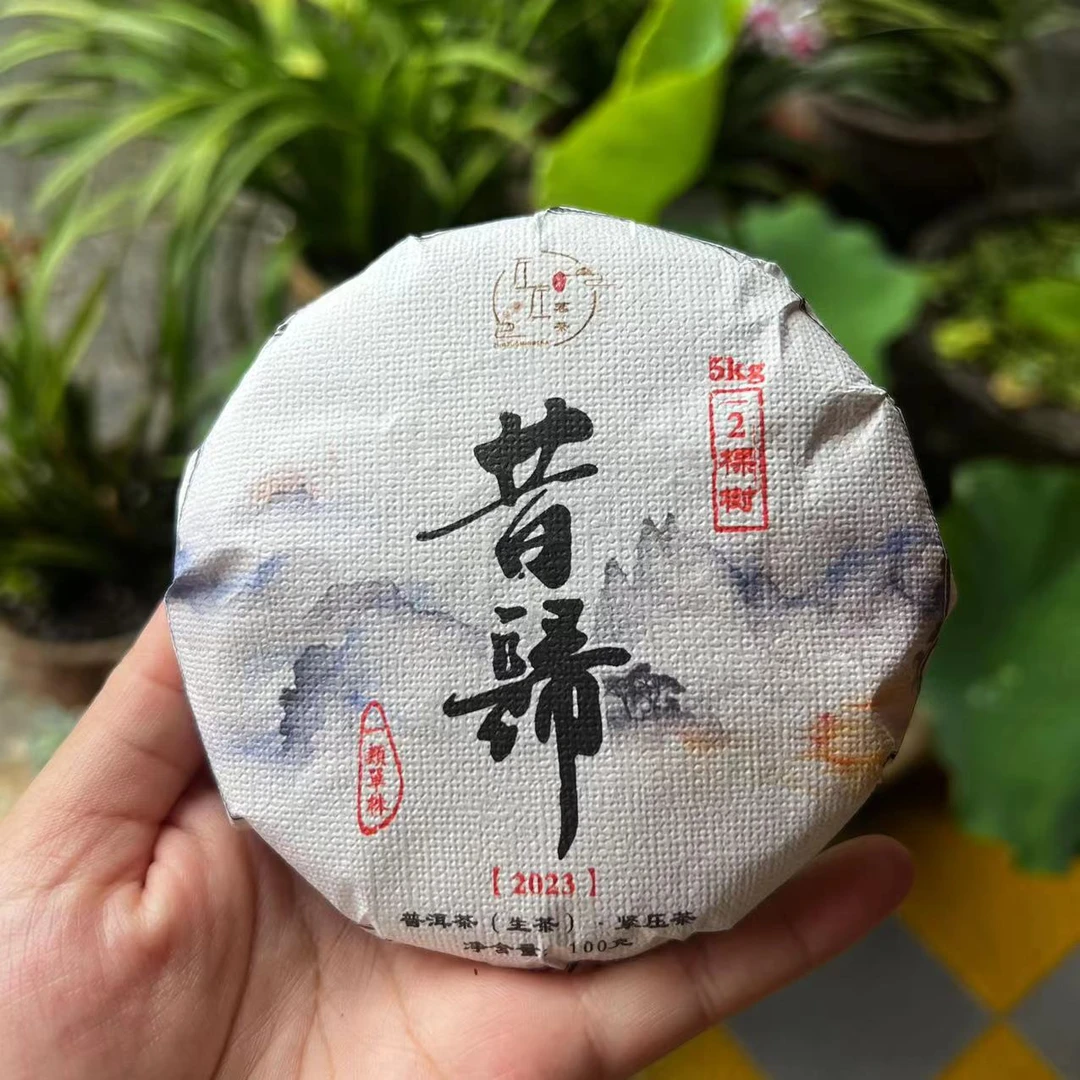 【23年昔归忙麓山】2棵树一类单株100g小饼