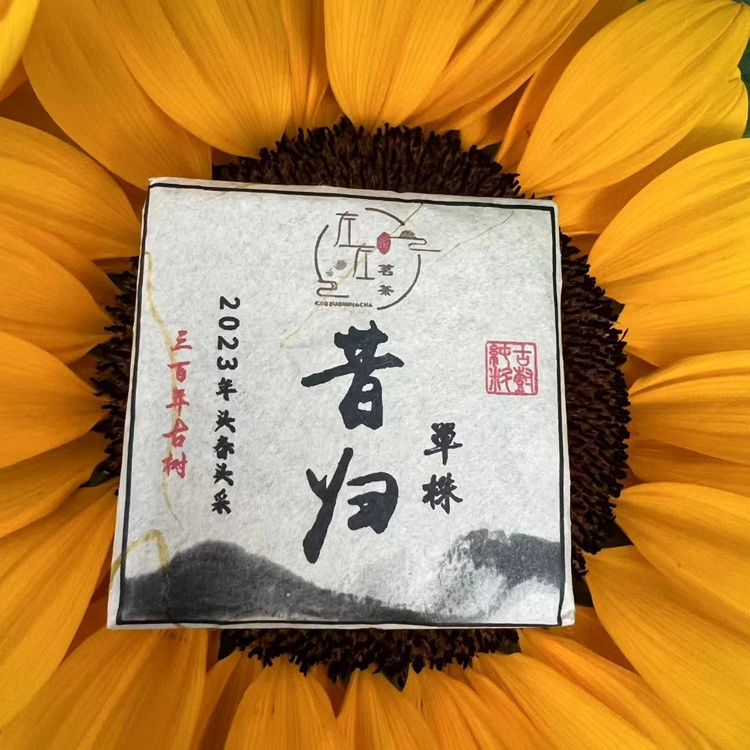 【23年昔归忙麓山单株】昔归300年古树头春头采8g迷你饼（黄方块）