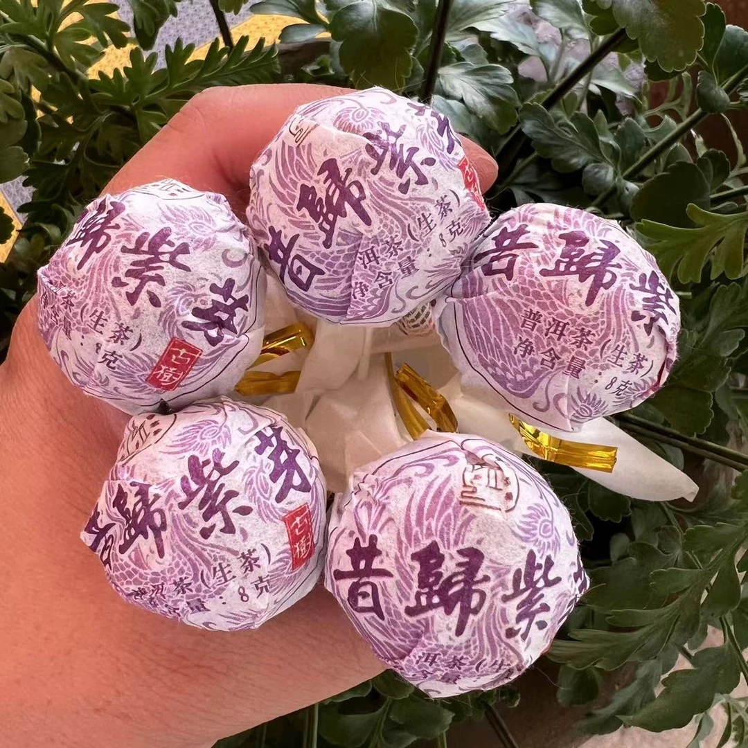 【24年昔归忙麓山】紫芽古树混采龙珠