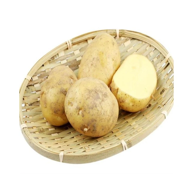 黄心土豆500g土豆同城配