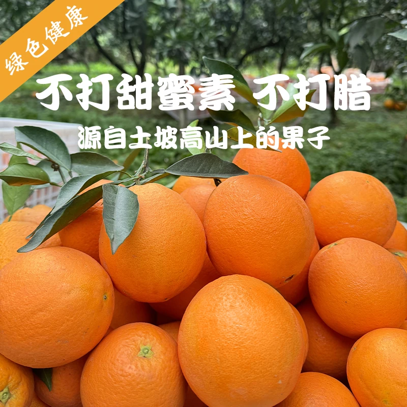 湘西正宗纽荷尔脐橙新鲜现摘原产地直发皮薄多汁细腻无渣净重9斤