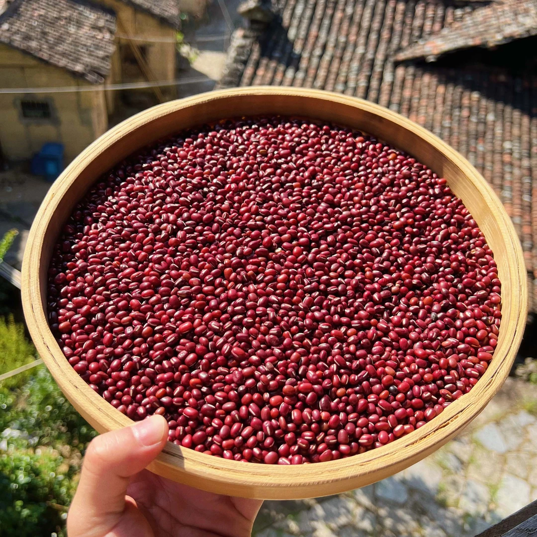 高山  农家  红豆