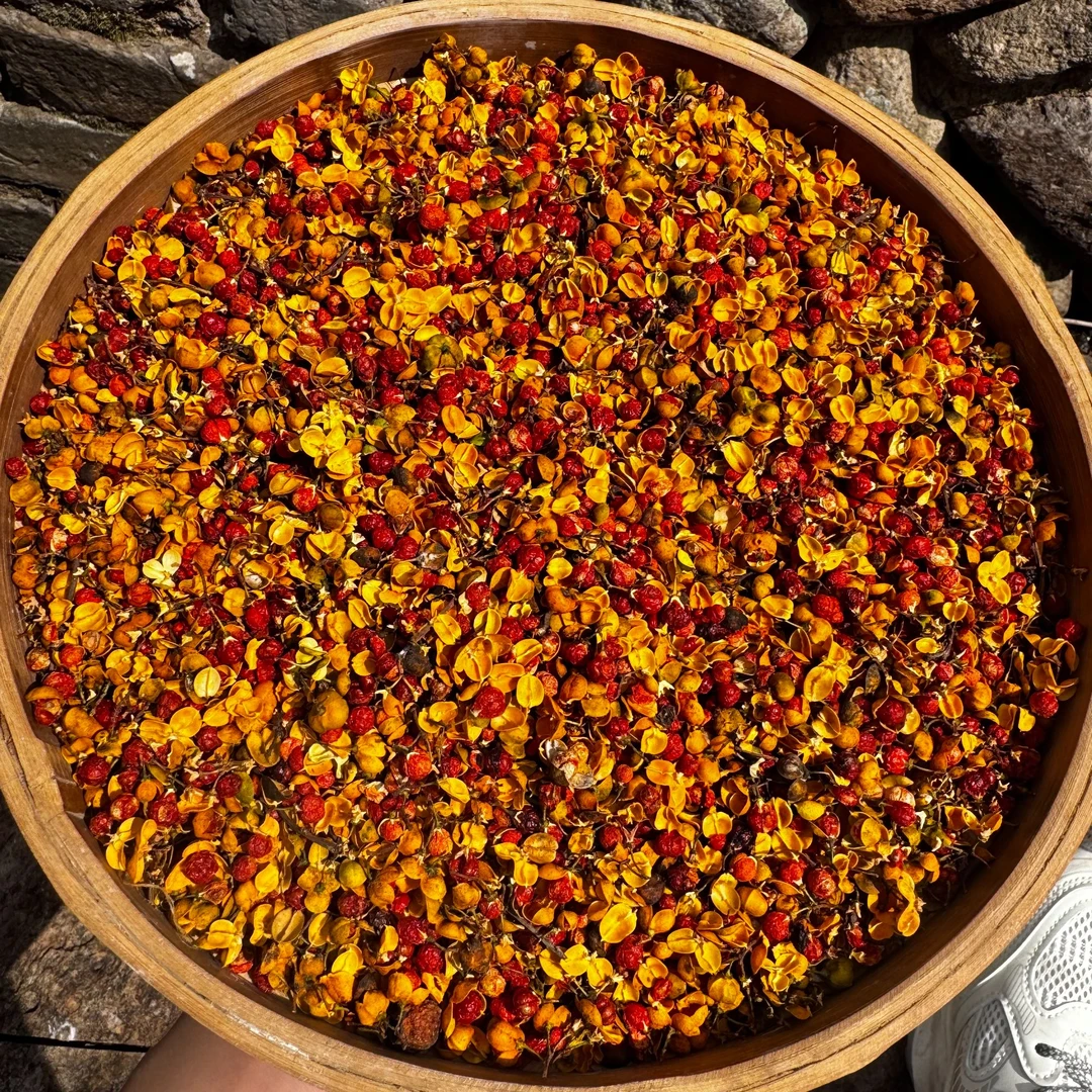 高山 农家 穿山龙红宝石