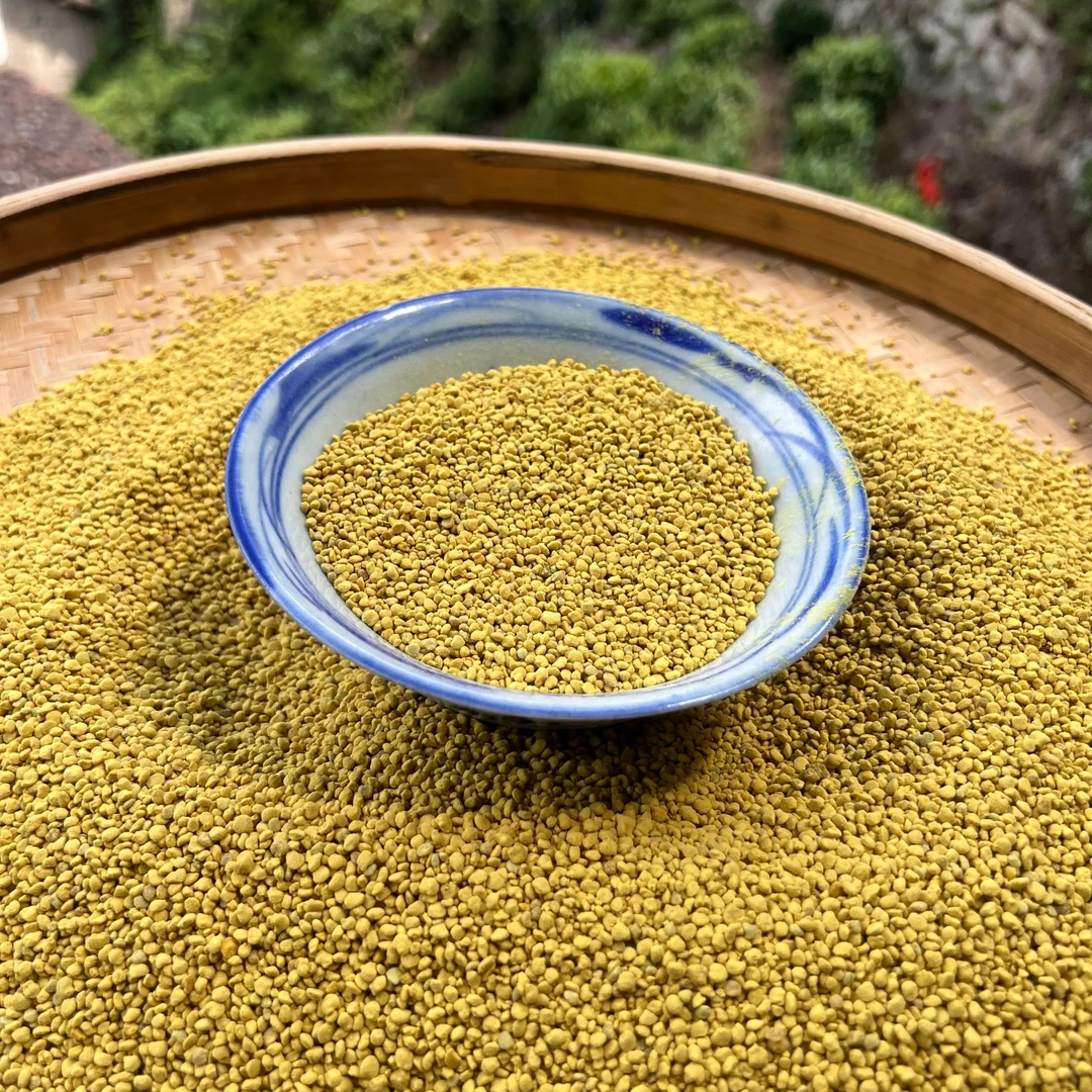 高山  农家  山茶花粉