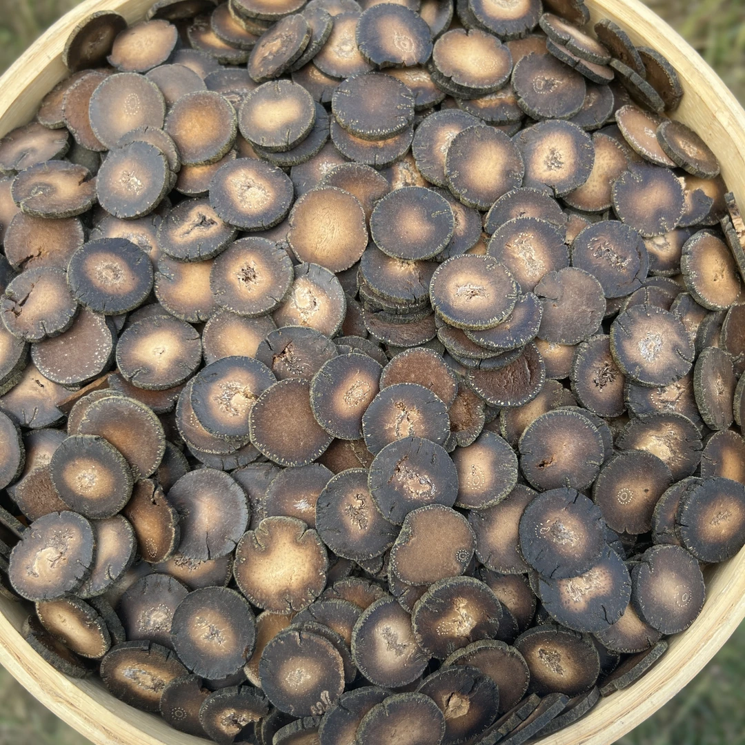 【跑山娃甄选】 化州~橘红