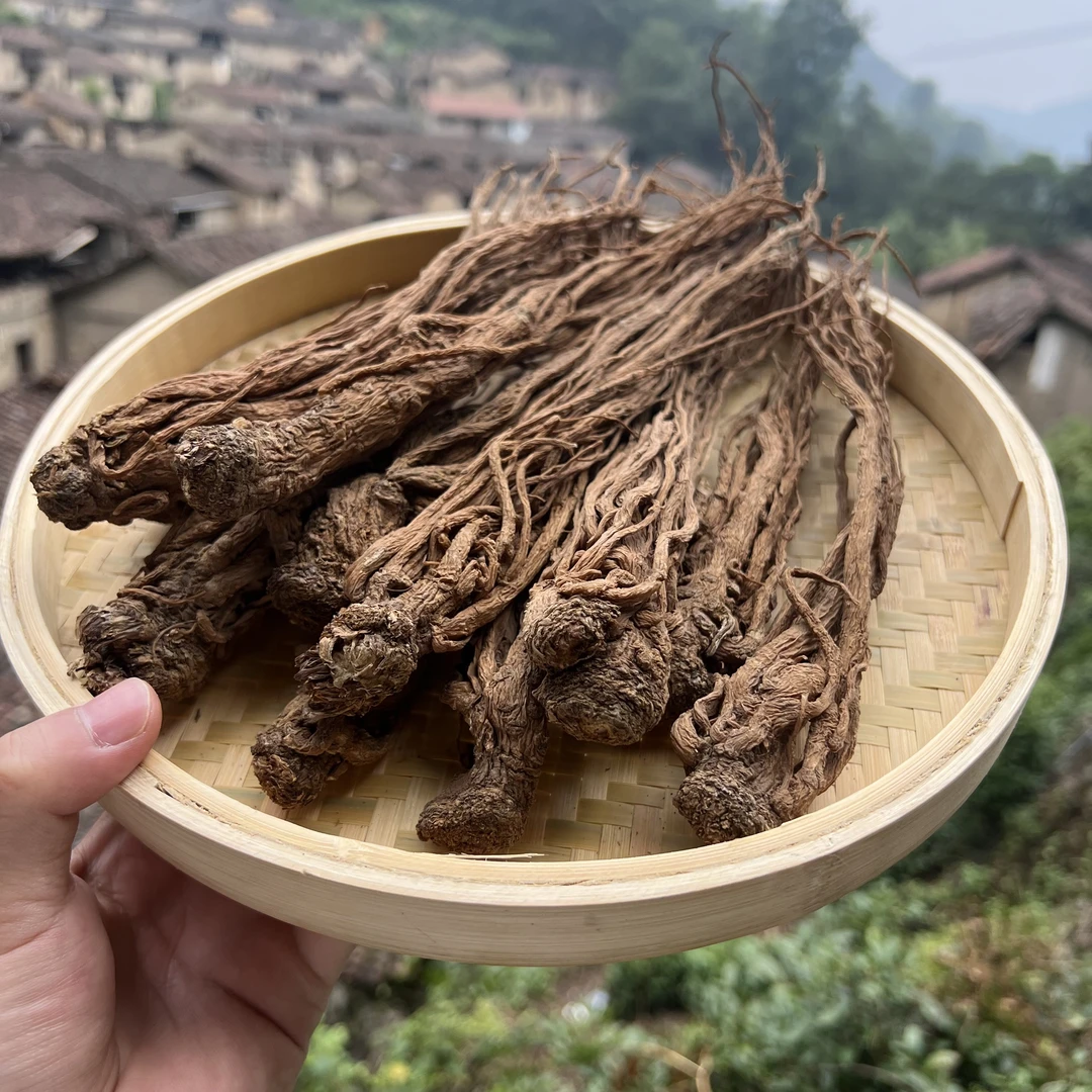 高山  农家  当归