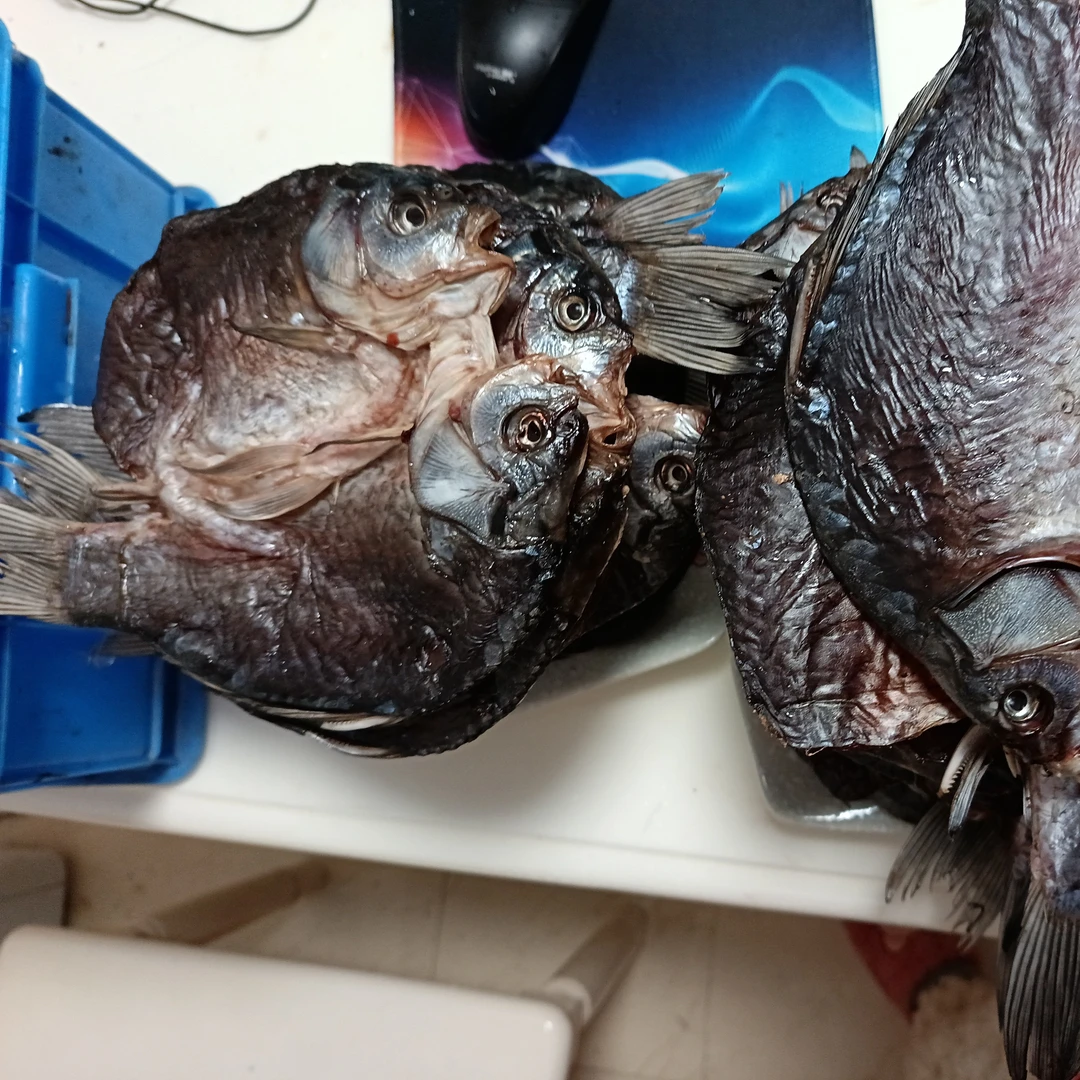 湖南生态水库草鱼鲫鱼风干鱼