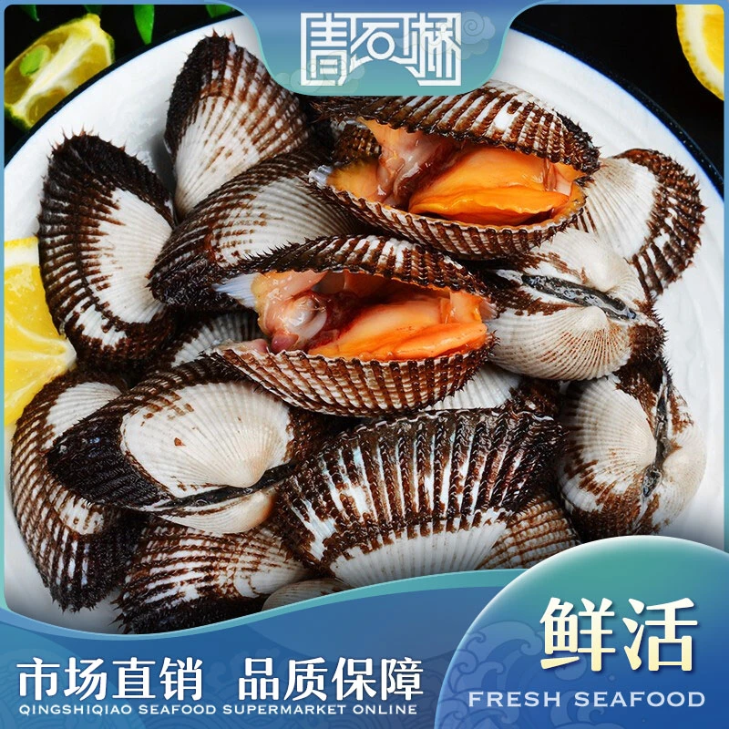鲜活毛蛤/血蛤 500g1份（血蛤表面有泥）