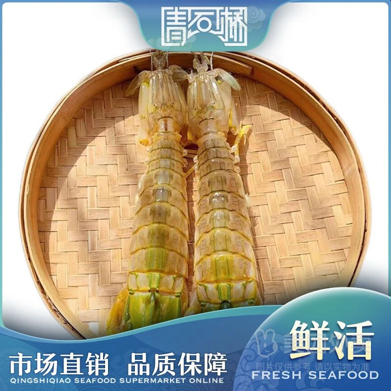 鲜活富贵虾/超大皮皮虾（包活） 约125g-165g1只