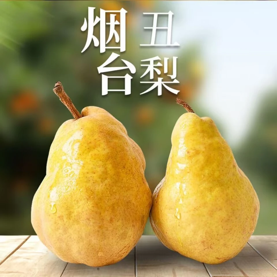 烟台中华丑梨新鲜太婆啤梨当季水果梨子软糯多汁苹果梨3-5斤