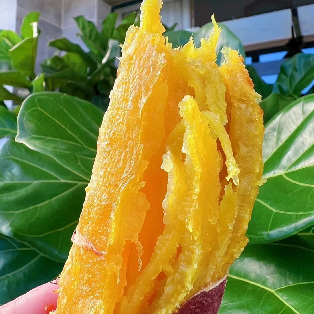 玛莎莉黄金蜜薯迷你薯玛莎莉红薯