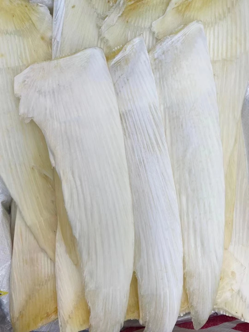 【牙拣】食用牙拣翅干货 精选牙拣翅干 佛跳墙滋补煲汤食材酒店常用