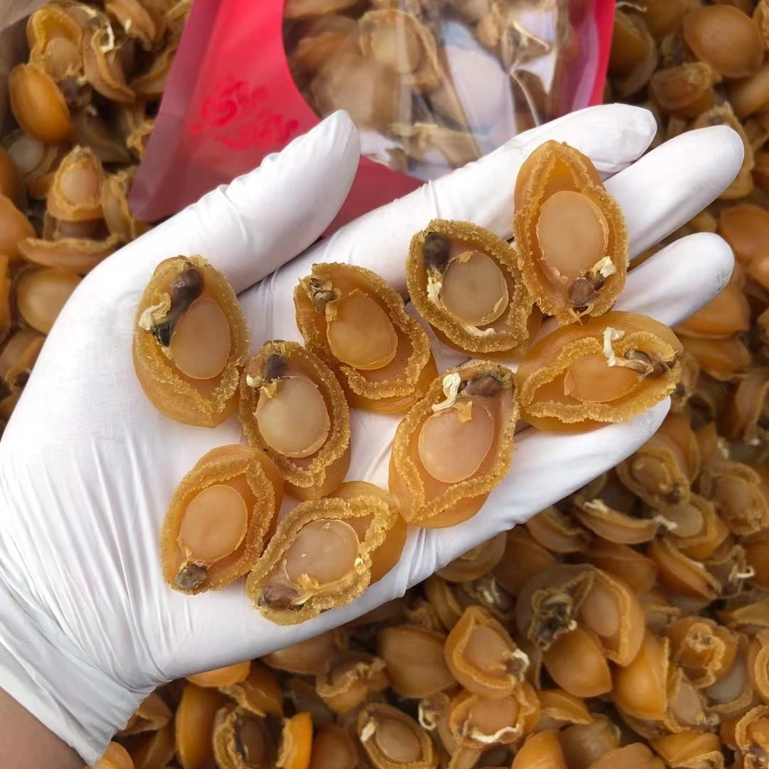 【黄金鲍鱼干】新鲜生晒鲍鱼干  精选A货鲍鱼 滋补煲汤做佛跳墙食材