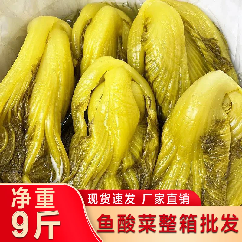 整箱商用正宗老坛酸菜 酸汤鱼火锅底料做酸菜鱼的酸菜下饭菜