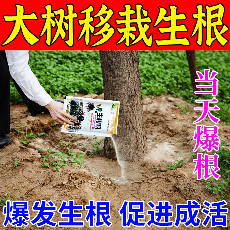 大树生根粉树木移栽专用生根剂【快速生根】补充根部营养壮苗促长
