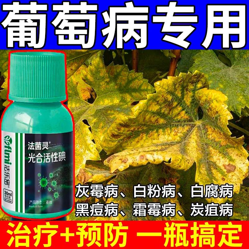 葡萄病菌清葡萄白腐病灰霉病霜霉病全治炭疽穂枯病葡萄专用杀菌剂