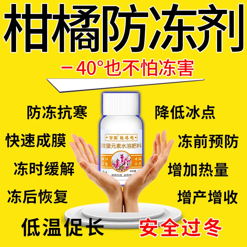 柑橘防冻剂柑橘防寒低温促长抗冻剂果树蔬菜安全过冬植物防冻液