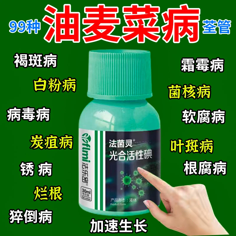 油麦菜专用肥油麦菜病荃管褐斑病霜霉病白粉病菌核病专用杀菌剂