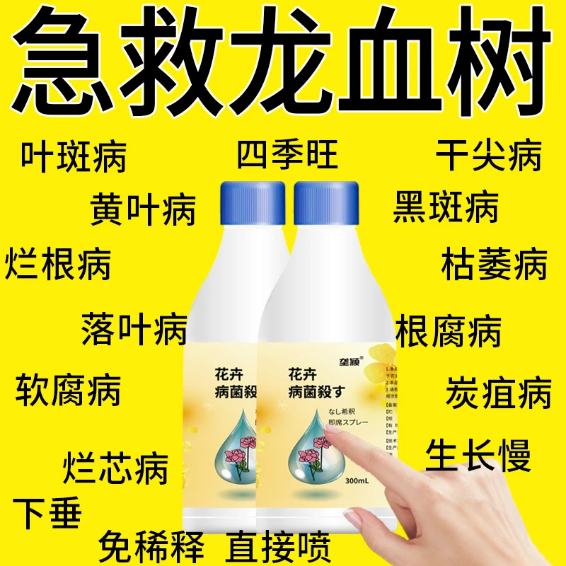龙血树专用营养液龙须树增肥催芽防黄叶枯叶烂根免稀释园艺营养液