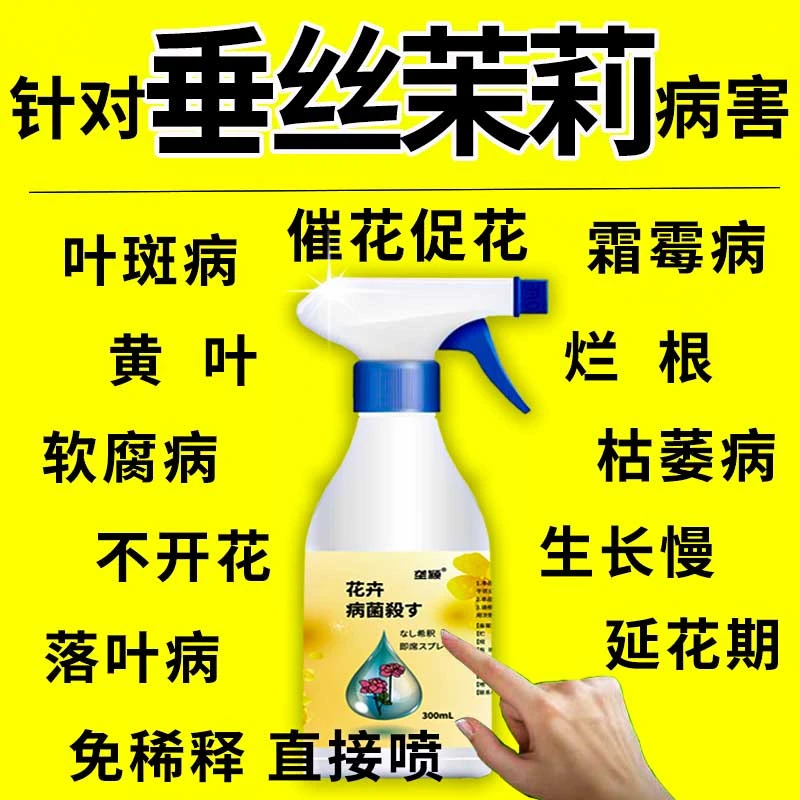 垂丝茉莉专用杀菌剂专治黑斑病黄叶病黑腐病枯萎下垂不开花通用