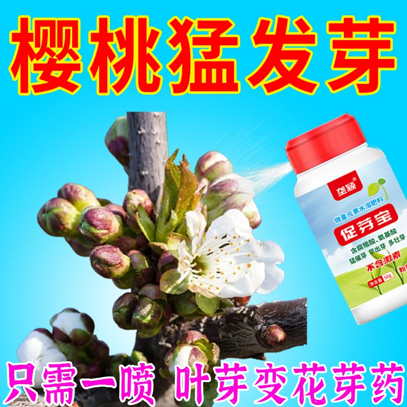 大樱桃点叶芽变花芽剂樱桃破眠剂催芽剂花芽分化素调节生长叶面肥
