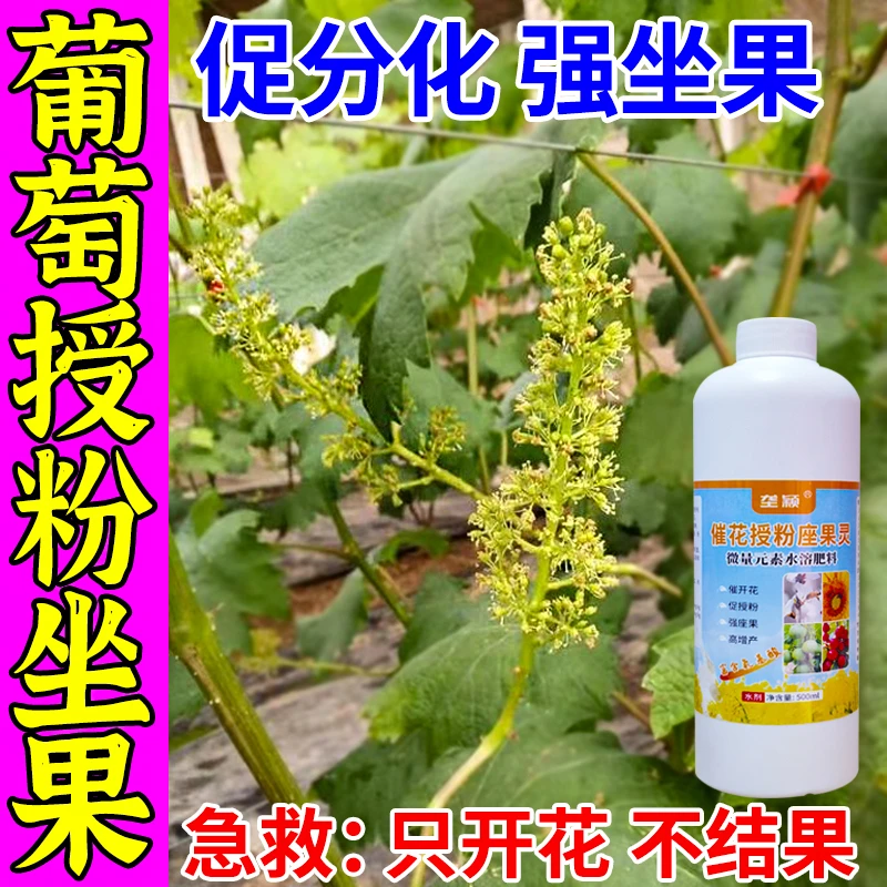 葡萄专用授粉剂花序拉长素强效授粉座果精保花保果素叶面肥水溶肥