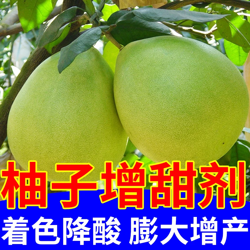 柚子专用增甜剂增甜去涩甜蜜素增甜去涩降酸柚子专用水溶肥料