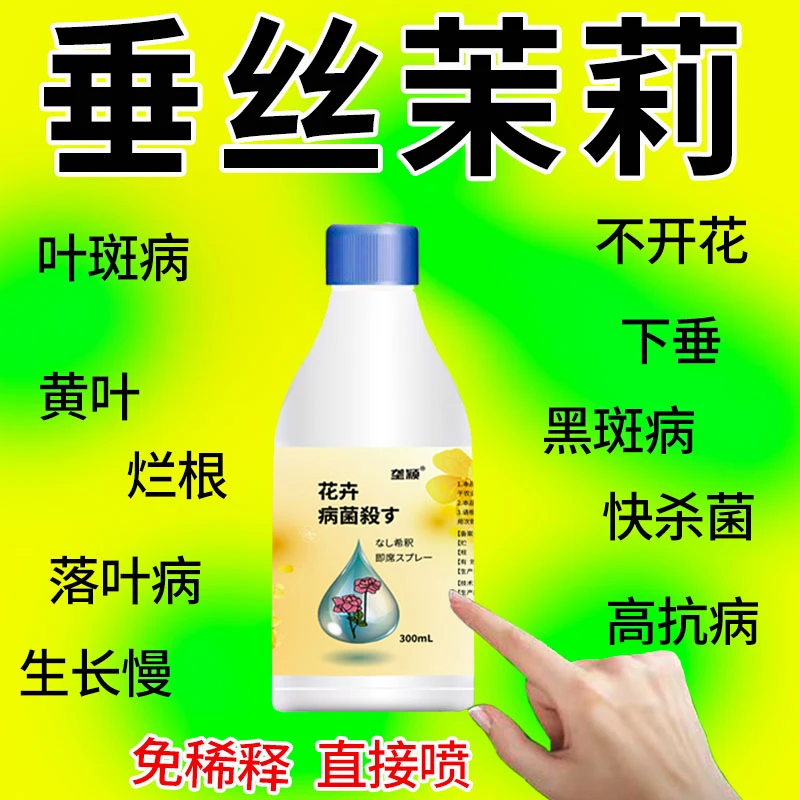 垂丝茉莉专用杀菌剂专治黑斑病黄叶病黑腐病枯萎下垂不开花生长慢