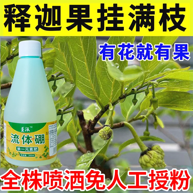 【释迦果挂满枝】释迦果授粉坐果剂催花膨果保花保果防落果水溶肥料