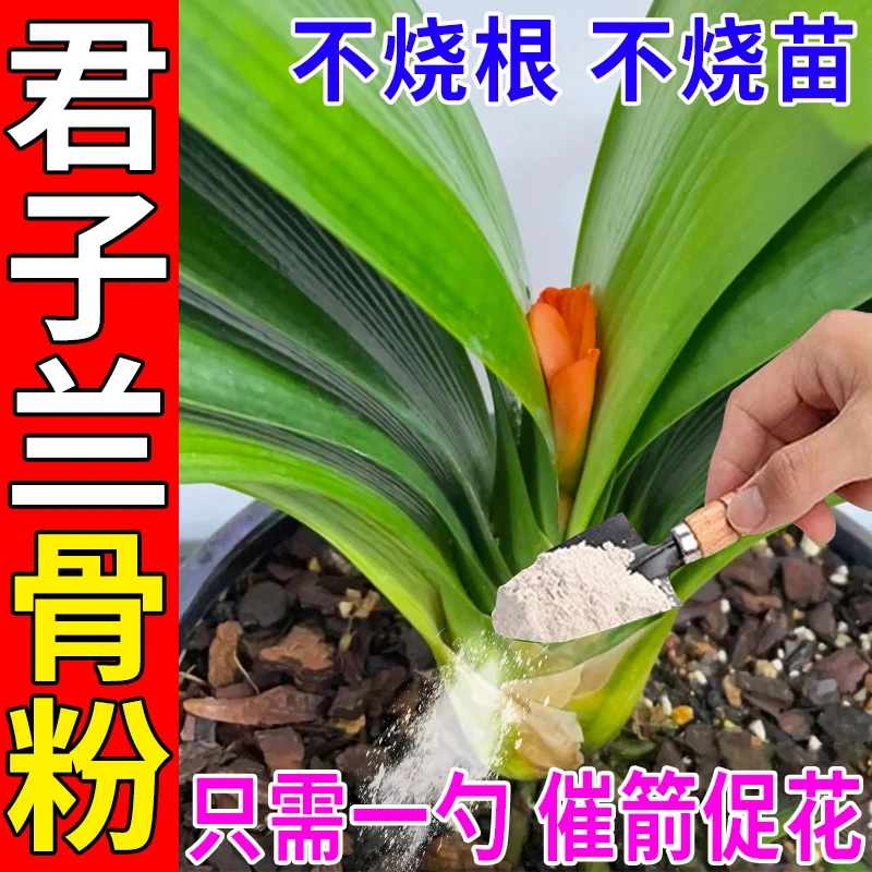 骨粉花肥料促花养花君子兰三角梅专用园艺生根壮苗通用型有机花肥