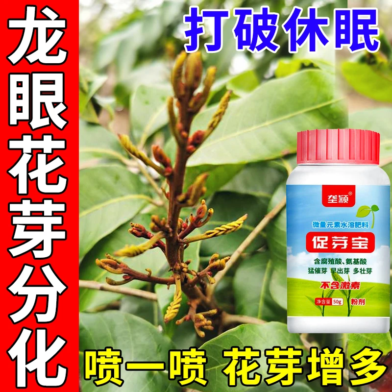 龙眼花芽分化素催花保果控梢控旺药果树花芽素促进细胞分裂叶面肥