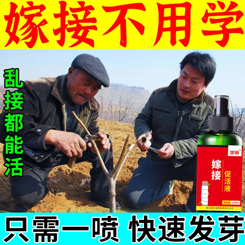 嫁接促活液树木伤口愈合剂果树嫁接植物盆景花卉伤口剪口防护专用