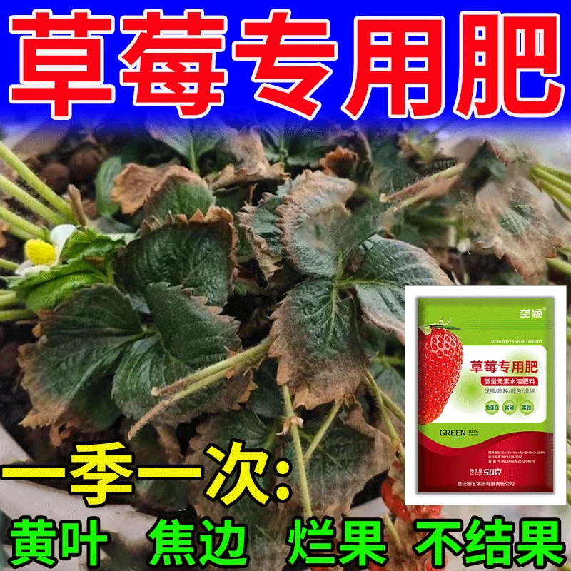 草莓专用肥草莓人工授粉药沾花素座果灵保花保果提高座果率膨大素