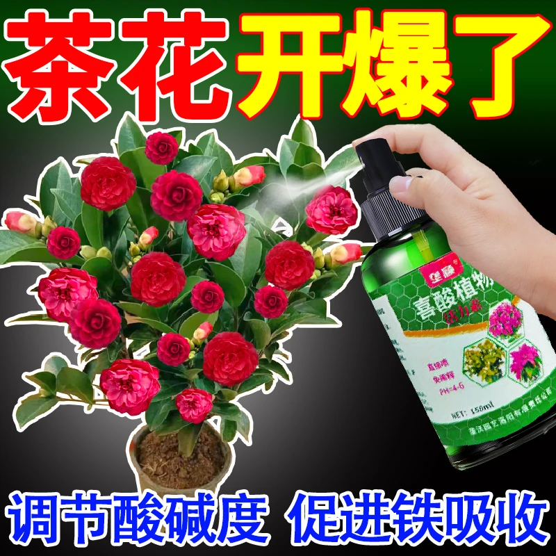喜酸植物营养液杜鹃花山茶花通用型养花肥调节生长酸性浓缩活力素