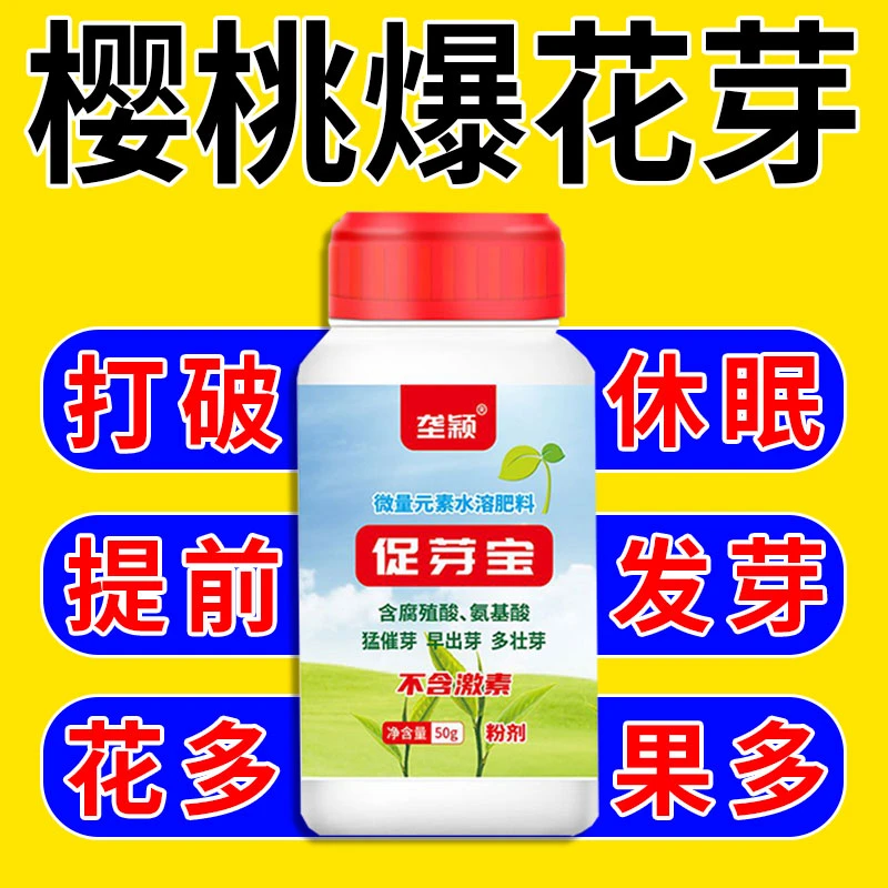 大樱桃点叶芽变花芽药【打破休眠】快速催芽提前发芽调节生长专用
