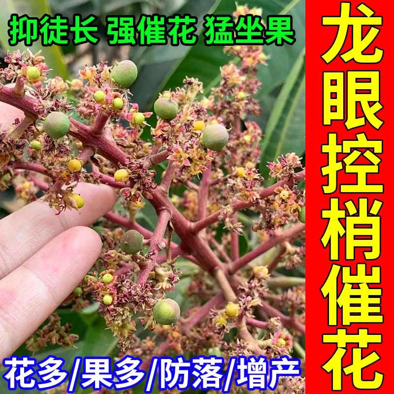 龙眼树控梢促果灵控旺促进花芽分化控梢不控果促花保果树促控剂